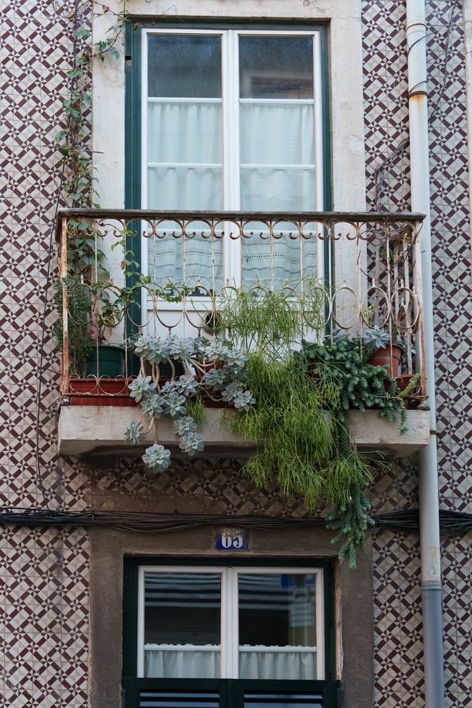 DSC09787