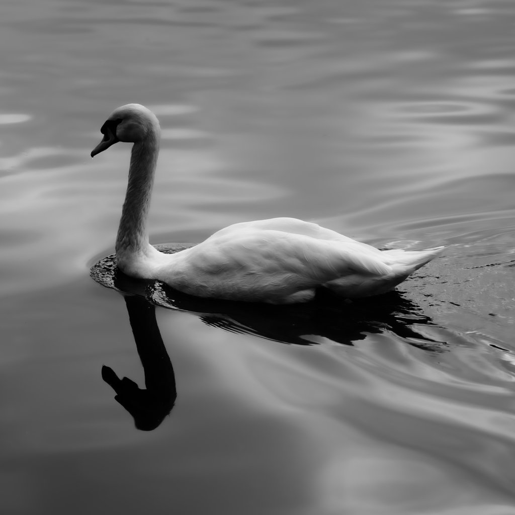 DSC00201