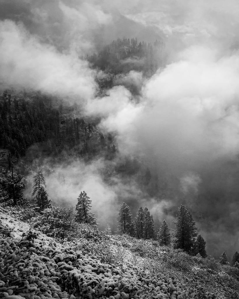 IMG_1834
