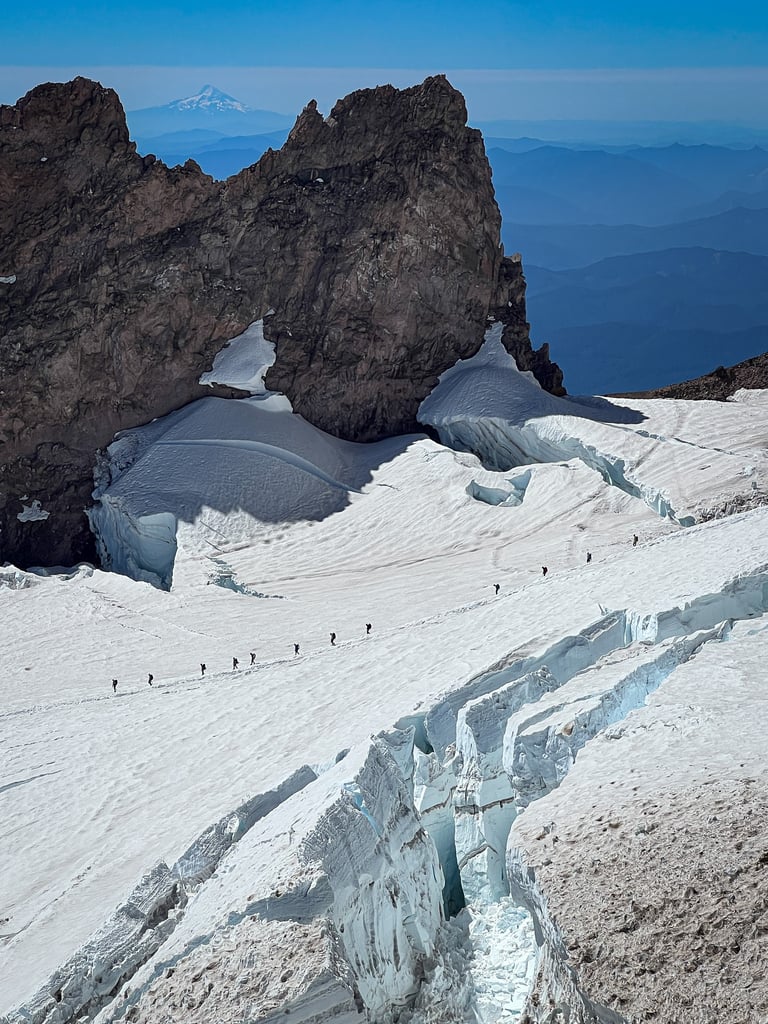 IMG_4548