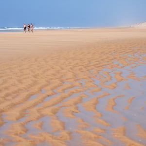Three people walking on a sunny beach at low tide