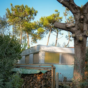Vintage aluminum caravan beside firewood under pine trees