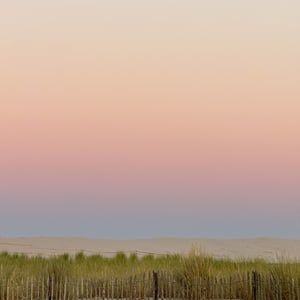 Weathered fence on sand dunes at pink dusk