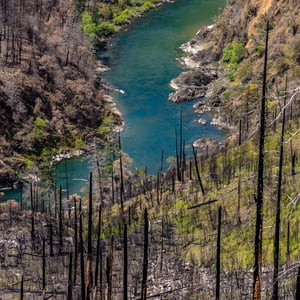 Turquoise river winding through a wildfire burned canyon