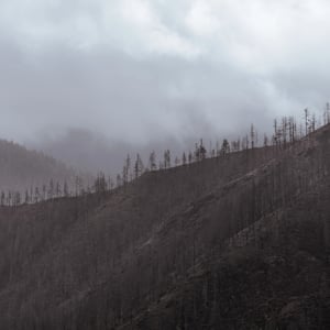 Misty mountain ridge with dead trees under gray clouds