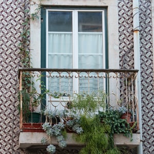 Balcony with succulents and trailing plants on tiled facade