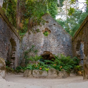 Ruined stone chapel framed by ferns and lush trees