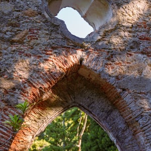 Ruined stone arch with clover window and trees