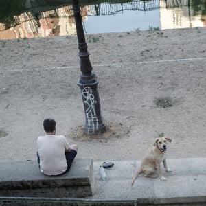 Man and yellow dog by canal lamppost
