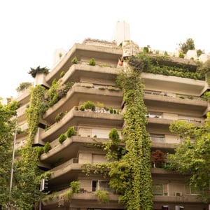 Ivy covered terraced concrete building above city street