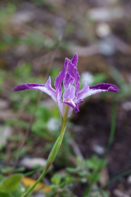 DSC01907
