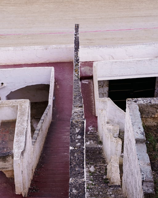 DSC08003