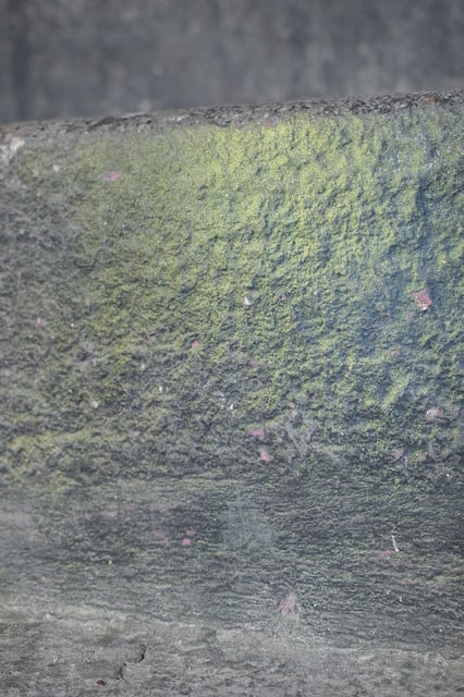 R0000876