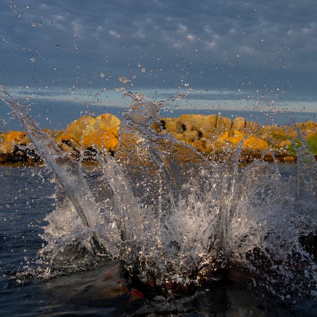 DSC02075