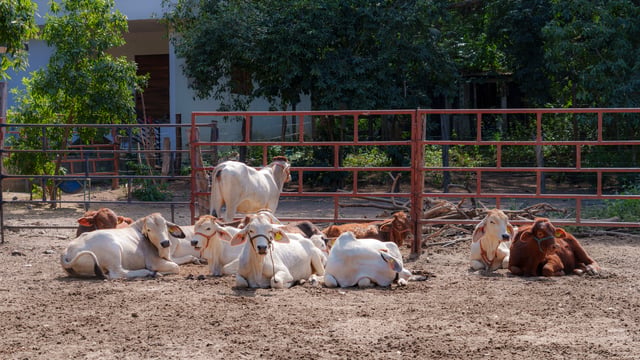 DSC00722