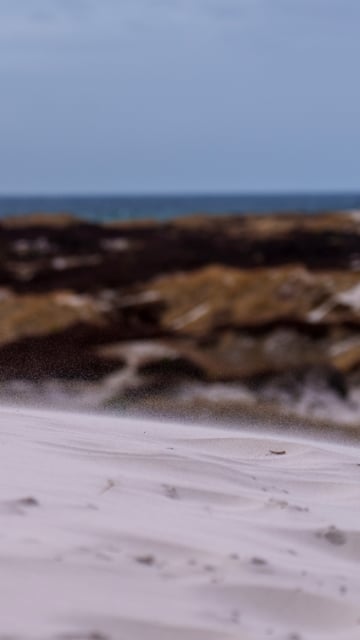 DSC01419