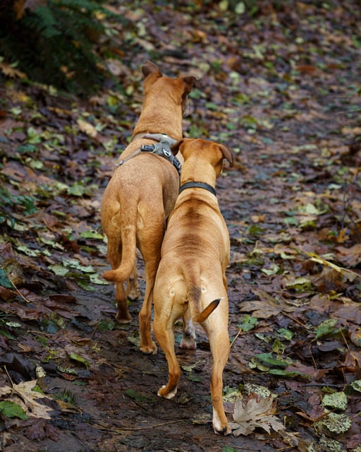 DSC01349