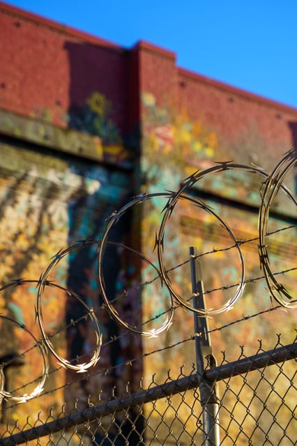 DSC08129