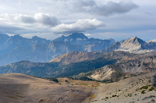 IMG_5209